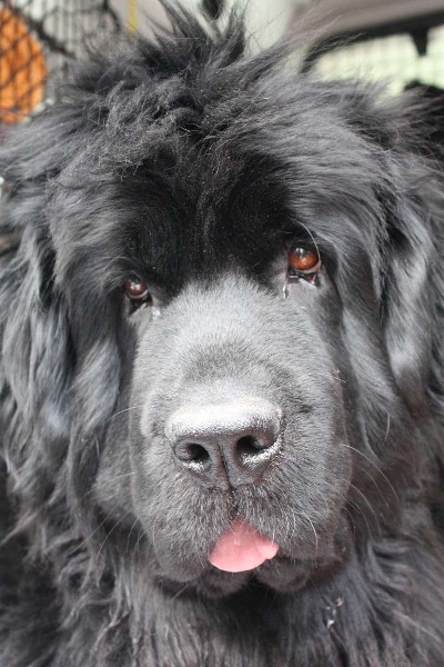 Begum Begum's Paradies