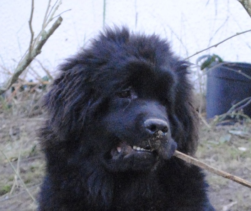 Begum's Paradies Gràce love