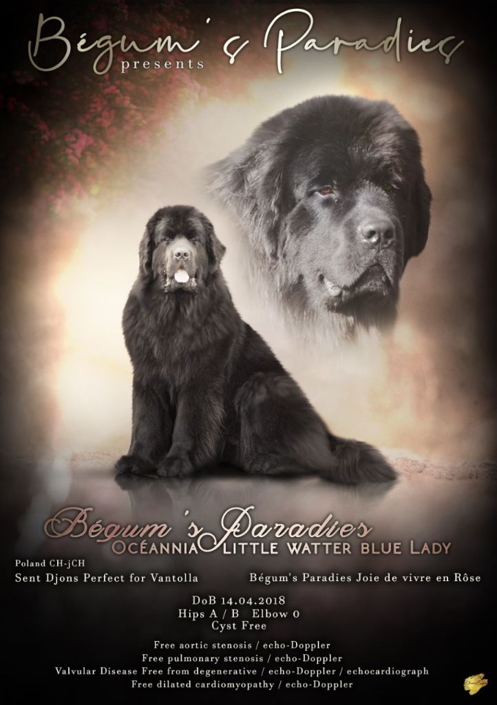 Océannia water blue lady Begum's Paradies